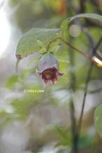 20130910_020.jpg