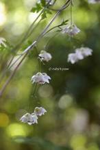 20130910_021.jpg