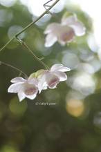 20130910_042.jpg