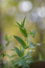 20130910_063.jpg