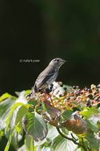 20130928_062.jpg