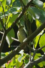 20130928_114.jpg