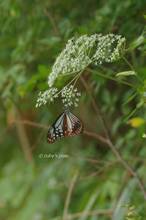 20130928_220.jpg