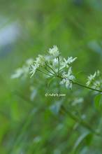 20130928_254.jpg