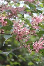 20130928_261.jpg