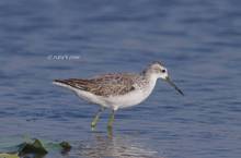 20131001_077.jpg