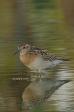 20131001_295.jpg