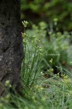 20131011_005.jpg
