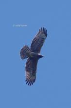 20131013_289.jpg