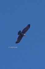 20131013_332.jpg