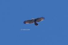 20131013_348.jpg