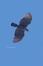 20131013_364.jpg