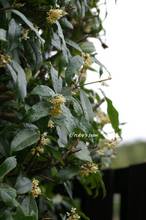 20131025_002.jpg