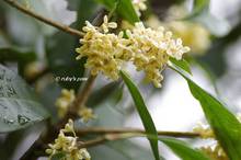 20131025_007.jpg
