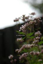 20131025_022.jpg
