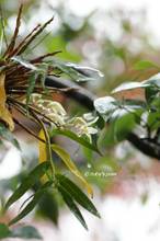 20131025_047.jpg