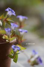 20131114_036.jpg
