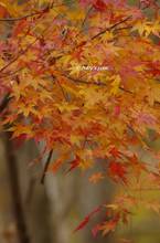 20131130_016.jpg