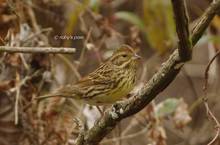 20131130_079.jpg