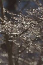 20131214_085.jpg