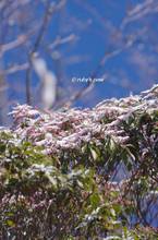 20131214_095.jpg