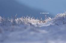 20131214_110.jpg