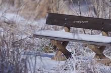 20131214_111.jpg