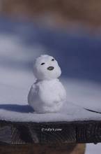 20131214_136.jpg