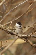20131214_178.jpg