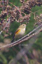 20131215_005.jpg
