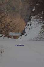 20131215_022.jpg