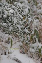 20131221_034.jpg