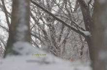 20131221_035.jpg