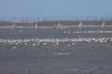 20131222_078.jpg