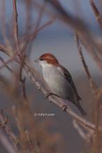 20131230_008.jpg