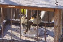 20140110_058.jpg