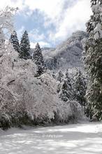 20140211_050.jpg