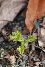 20140219_001.jpg