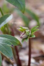 20140219_006.jpg