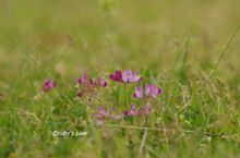 20140412_8305.jpg