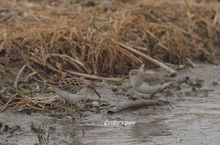 20140412_8369.jpg