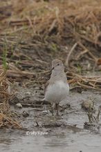 20140412_8391.jpg