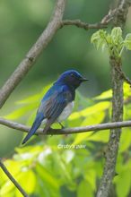 20140426_8981.jpg