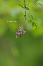20140426_9177.jpg