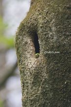 20140426_9247.jpg