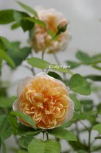 20140427_5864.jpg