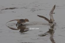 20140427_9397.jpg