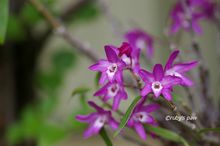 20140430_6098.jpg