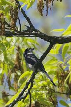 20140502_9850.jpg