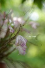 20140513_6400.jpg